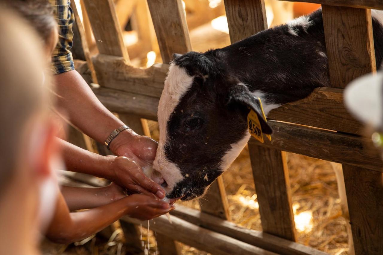 フィリーネ・ヴァルダルノ Palagina La Cascinaヴィラ エクステリア 写真