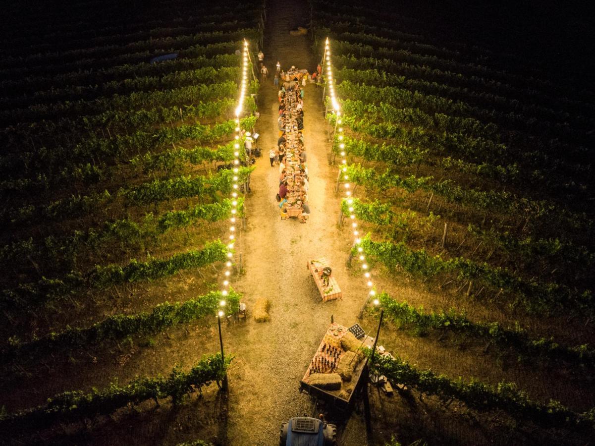 フィリーネ・ヴァルダルノ Palagina La Cascinaヴィラ エクステリア 写真