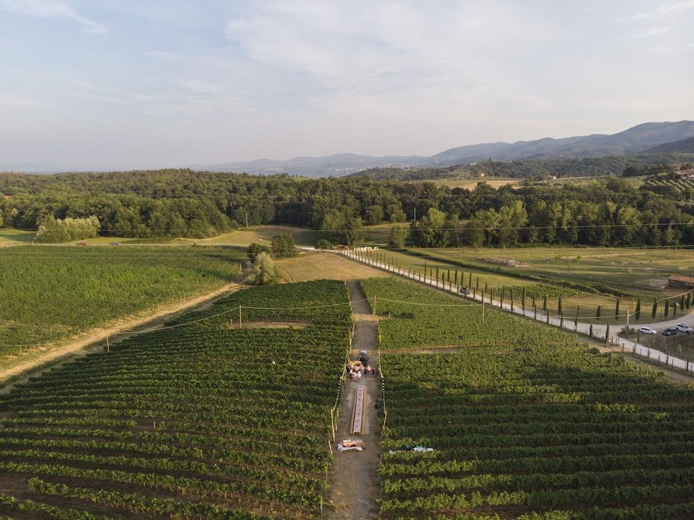 フィリーネ・ヴァルダルノ Palagina La Cascinaヴィラ エクステリア 写真
