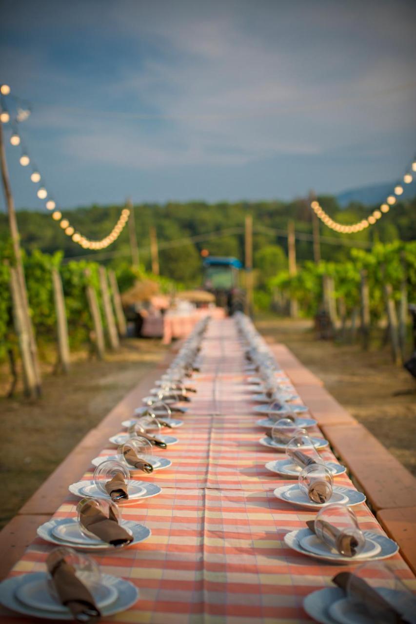 フィリーネ・ヴァルダルノ Palagina La Cascinaヴィラ エクステリア 写真