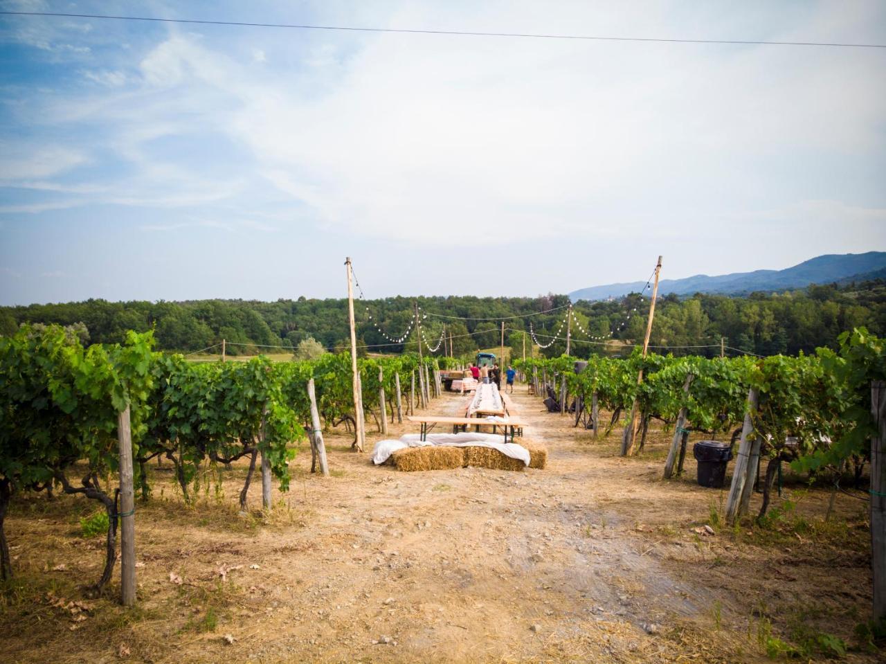 フィリーネ・ヴァルダルノ Palagina La Cascinaヴィラ エクステリア 写真