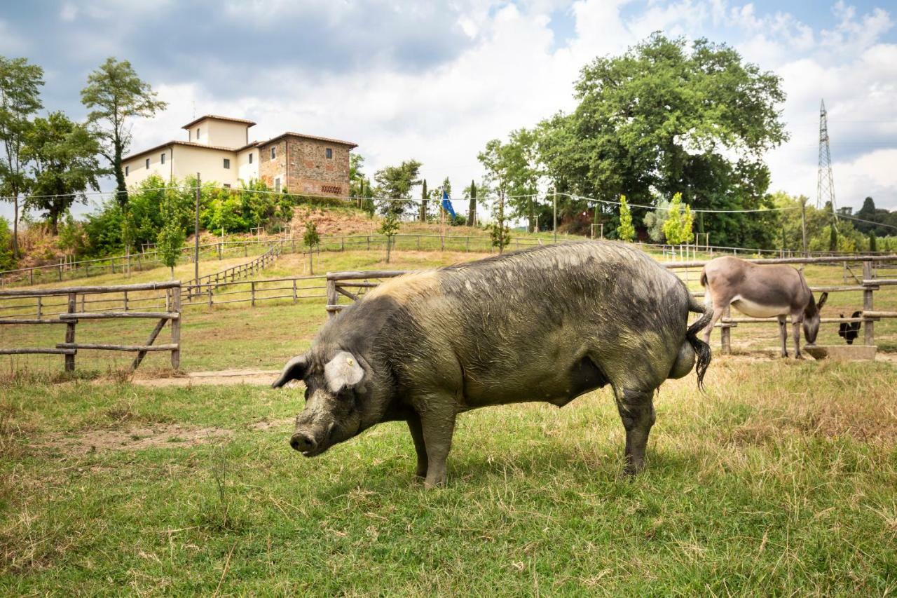 フィリーネ・ヴァルダルノ Palagina La Cascinaヴィラ エクステリア 写真