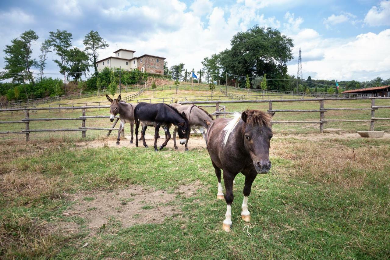 フィリーネ・ヴァルダルノ Palagina La Cascinaヴィラ エクステリア 写真